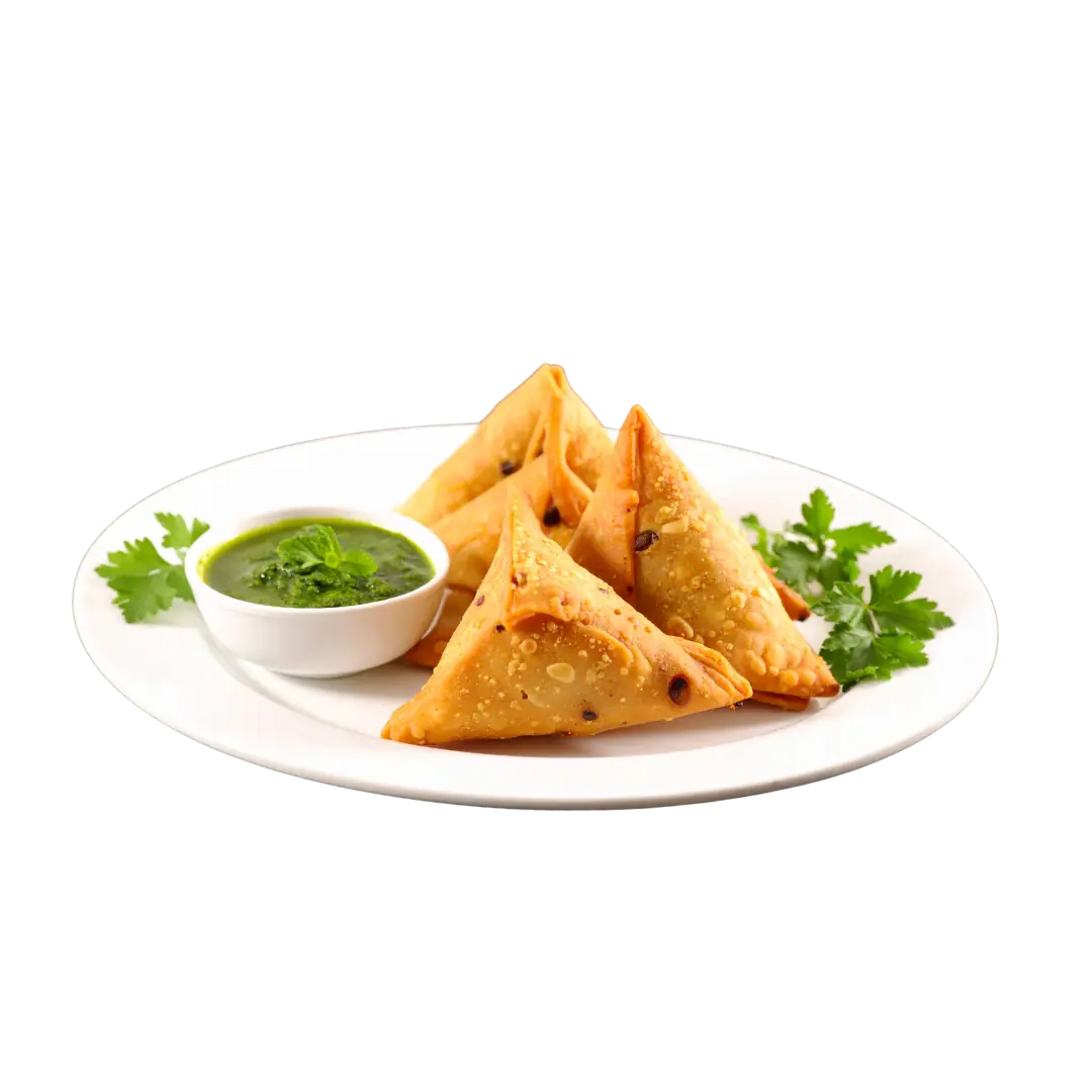 Hot Chicken Samosa